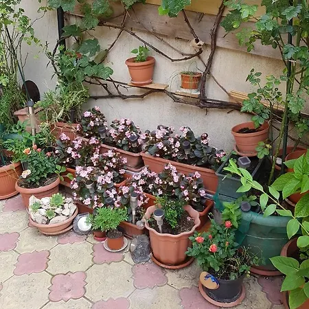 Casa Holiday